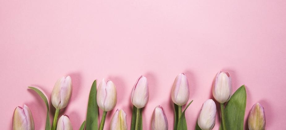 pink-spring-flowers